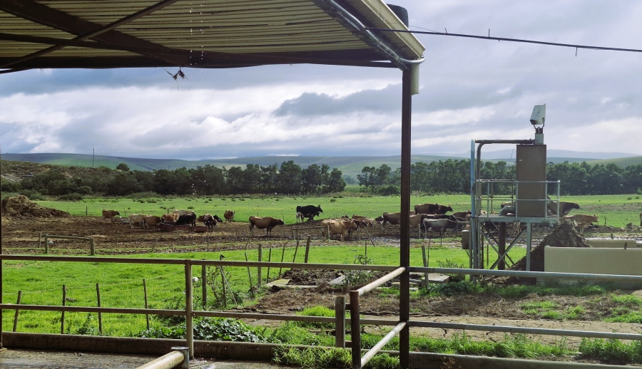 Commercial Property for Sale in Caledon Rural Western Cape